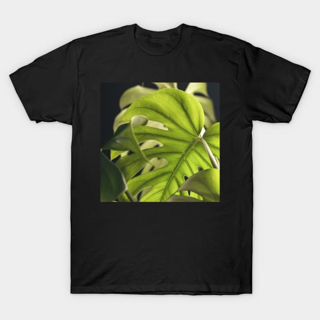 Monstera Layers T-Shirt by ALICIABOCK